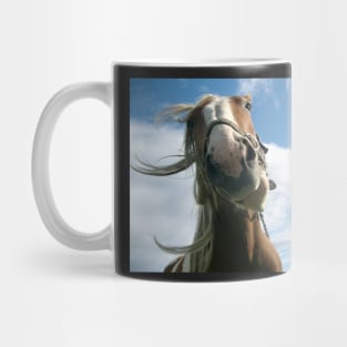 Oh Diana Mug